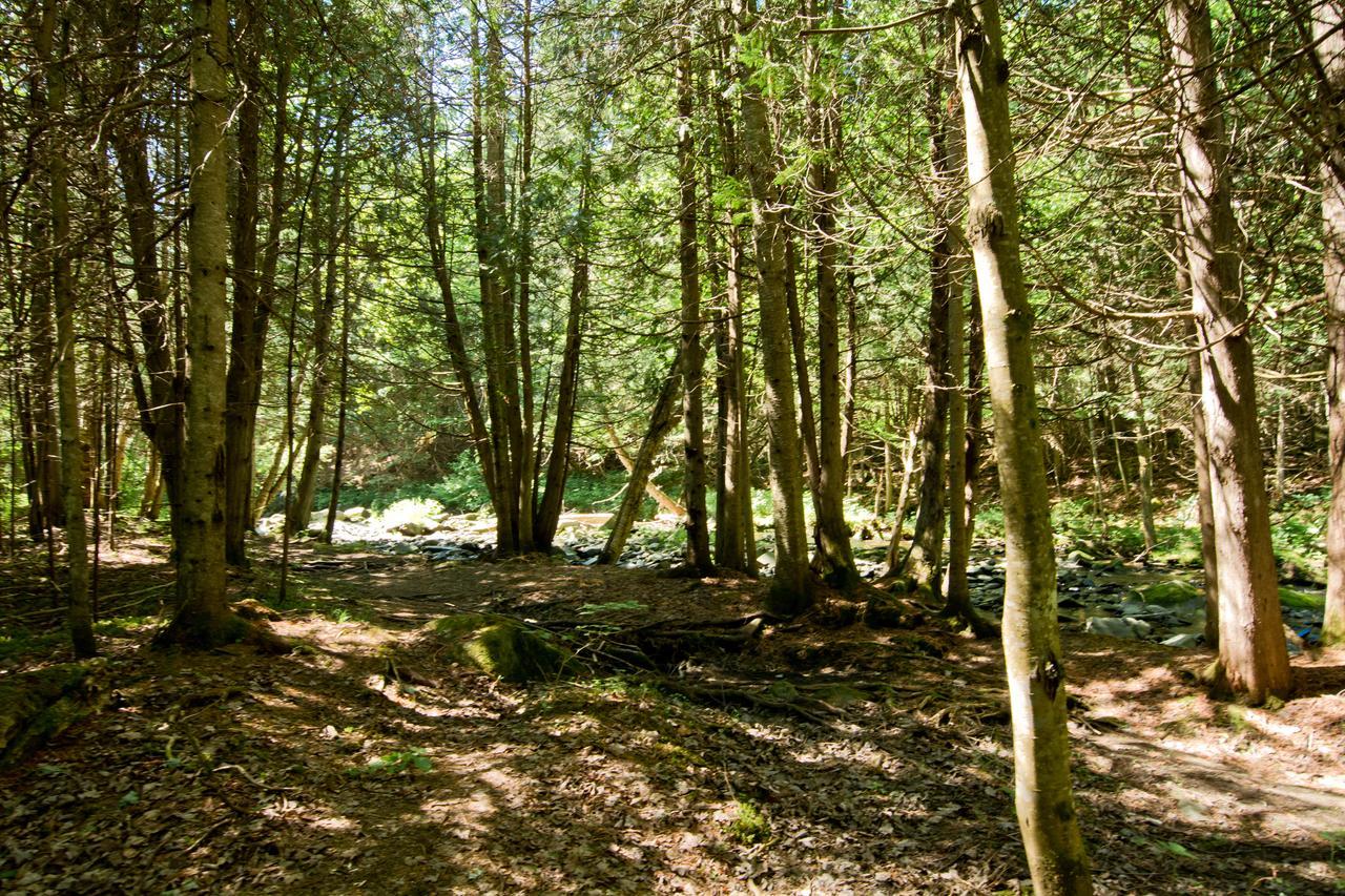 Camping Chalets Spas Pignons Rouges Saint Romain Exterior photo